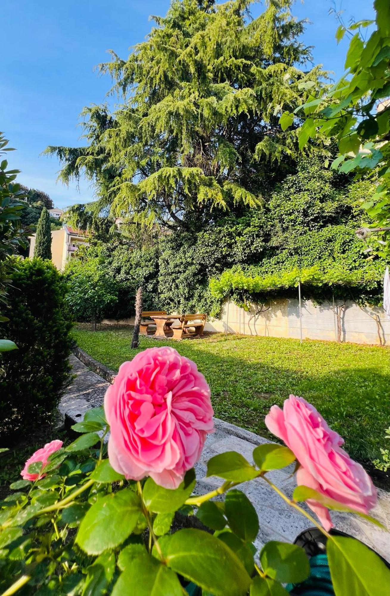Villa Verde Piran, Authentic Mediterranean Stay Kültér fotó